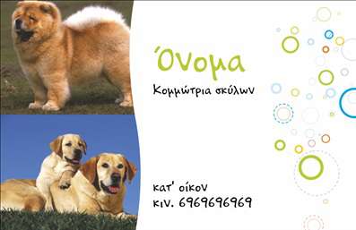 Επαγγελματική κάρτα για επαγγελματία στον τομέα των ζώωνΑνακαλύψτε την ιδανική επαγγελματική κάρτα που θα ενισχύσει την παρουσία σας στον τομέα της φροντίδας και εκπαίδευσης ζώων. Το σχέδιο αυτής της κάρτας συνδυάζει ζωντανά χρώματα όπως το πράσινο και το μπλε, που αναπαριστούν τη φύση και την ευημερία των ζώων, σε μια αρμονική διάταξη που αποπνέει επαγγελματισμό.Η μοντέρνα γραμματοσειρά, σε συνδυασμό με τις ελκυστικές εικόνες ζώων, δημιουργεί μια υψηλή αίσθηση ποιότητας και προσβασιμότητας. Οι καθαρές γραμμές και η προσεγμένη διάταξη βοηθούν στην άμεση αναγνώριση των στοιχείων σας, επιτρέποντας στους πελάτες να εστιάσουν σε όσα πραγματικά μετράνε.Η επαγγελματική κάρτα αυτή έχει σχεδιαστεί για να αποπνέει αξιοπιστία και επαγγελματισμό, αντανακλώντας την αφοσίωσή σας στην παροχή εξαιρετικών υπηρεσιών στον τομέα των ζώων.Έχει τη δυνατότητα να προσθέσετε εύκολα τα προσωπικά σας στοιχεία, όπως το όνομα, τηλέφωνο και το λογότυπό σας, διασφαλίζοντας ότι οι πελάτες σας θα μπορούν να σας προσεγγίσουν με ευκολία. Επίσης, μπορεί να προβάλει τις υπηρεσίες ή τα προϊόντα σας, επιτρέποντας στους πελάτες να κατανοούν άμεσα την εξειδίκευσή σας.Αυτή η κάρτα θα σας βοηθήσει να ξεχωρίσετε από τον ανταγωνισμό και να αφήσετε μία θετική εντύπωση στους πελάτες σας, δημιουργώντας μια αξέχαστη πρώτη εντύπωση.Μπορείτε να κάνετε όποιες αλλαγές θέλετε μέσω του online σχεδιαστικού εργαλείου.