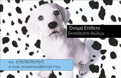 Επαγγελματική κάρτα για κτηνίατρος: Η κάρτα αυτή διακρίνεται για την ευχάριστη και φιλική της αίσθηση, ιδανική για επαγγελματίες που ασχολούνται με τα ζώα. Τα ζωντανά χρώματα, όπως το πράσινο και το μπλε, δημιουργούν μια ανανεωτική ατμόσφαιρα, ενώ οι φιλικές εικονογραφήσεις ζώων προσθέτουν μια προσωπική πινελιά στη συνολική παρουσίαση.Η διάταξη της κάρτας είναι προσεγμένη, με κεντρική θέση για το λογότυπο και τα στοιχεία επικοινωνίας. Η γραμματοσειρά είναι καθαρή και ευανάγνωστη, προσφέροντας επαγγελματική αίσθηση. Το background υπογραμμίζει την τεχνογνωσία και την εμπειρία του κτηνοτρόφου, ενώ η φιλική προσέγγιση ενισχύει την εγγύτητα με τους πελάτες.Αυτό το σχέδιο αντανακλά τον επαγγελματισμό και την αξιοπιστία του κλάδου, προσκαλώντας τους ιδιοκτήτες ζώων να συνεργαστούν με έναν επαγγελματία που κατανοεί τις ανάγκες τους. Η δυνατότητα προσθήκης στοιχείων, όπως όνομα, τηλέφωνο και email, διευκολύνει την εξατομίκευση της κάρτας σύμφωνα με τις απαιτήσεις σας.Η κάρτα μπορεί επίσης να προβάλει ειδικές υπηρεσίες ή προϊόντα που σχετίζονται με τη φροντίδα των ζώων, όπως θεραπείες και προϊόντα υγιεινής. Η παρουσίαση των υπηρεσιών θα καταστήσει την κάρτα πιο ελκυστική και λειτουργική.Το υπέροχο αυτό σχέδιο θα σας βοηθήσει να ξεχωρίσετε και να αφήσετε θετική εντύπωση στους πελάτες σας. Μπορείτε να κάνετε όποιες αλλαγές θέλετε μέσω του online σχεδιαστικού εργαλείου.