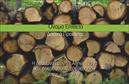 Επαγγελματική κάρτα για Δασικά προϊόντα: Η συγκεκριμένη κάρτα  συνδυάζει την αισθητική με τη λειτουργικότητα, προσφέροντας μια εντυπωσιακή παρουσίαση για επαγγελματίες του χώρου. Με φυσικούς τόνους του πράσινου και του καφέ, η κάρτα αναδεικνύει τη σύνδεση με τη φύση και την οικολογία.Η διάταξη είναι προσεγμένη, με μια καθαρή γραμματοσειρά που διευκολύνει την ανάγνωση, ενώ οι λεπτομέρειες της εικόνας προσφέρουν μια αίσθηση προσιτότητας και επαγγελματισμού. Το background είναι στοιχισμένο έτσι ώστε να υπογραμμίζει τα βασικά στοιχεία της κάρτας, κάνοντάς την ιδανική για οποιονδήποτε επαγγελματία του κλάδου.Αντανάκλαση Επαγγελματισμού: Ο σχεδιασμός της κάρτας αποπνέει αξιοπιστία και σοβαρότητα, στοιχείο που είναι καθοριστικό για τον τομέα των δασικών προϊόντων. Επιπλέον, η κλασική και κομψή αισθητική της υπογραμμίζει την επαγγελματική ταυτότητα του κατόχου, δημιουργώντας θετική εντύπωση στους πελάτες.Προσαρμοστικότητα και Λειτουργικότητα: Η κάρτα διαθέτει χώρους για να προσθέσετε το όνομα, το τηλέφωνο και το λογότυπό σας, διευκολύνοντας έτσι την προσωπική σας ταυτότητα. Αυτή η ευελιξία σας επιτρέπει να προσαρμόσετε την κάρτα στις ανάγκες σας.Προβολή Υπηρεσιών ή Προϊόντων: Ίσως να ενθέσετε μια μικρή περιγραφή των δασικών προϊόντων σας ή και προσφορές, προσφέροντας άμεση πληροφόρηση στους υποψήφιους πελάτες. Οι λεπτομέρειες που προσθέτετε καθιστούν την κάρτα αντανάκλαση της επιχείρησής σας και των υπηρεσιών σας.Με αυτή την επαγγελματική κάρτα, ο επαγγελματίας θα είναι σε θέση να ξεχωρίσει από τον ανταγωνισμό και να αφήσει μια θετική εντύπωση. Μπορείτε να κάνετε όποιες αλλαγές θέλετε μέσω του online σχεδιαστικού εργαλείου.