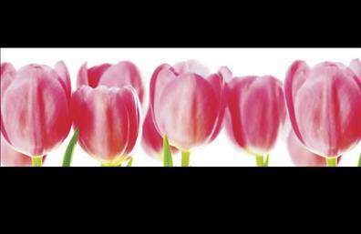 Επαγγελματική κάρτα για Ανθοκόμοι: Η συγκεκριμένη κάρτα συνδυάζει την κομψότητα με τη λειτουργικότητα, προσφέροντας έναν μοναδικό σχεδιασμό που αποτυπώνει τη φύση και την ομορφιά των λουλουδιών. Με απαλή χρωματική παλέτα στα πράσινα και κίτρινα χρώματα, και ευχάριστο floral background, αυτή η κάρτα διακρίνεται για την αίσθηση φρεσκάδας και φυσικότητας που αποπνέει. Η σύγχρονη γραμματοσειρά που χρησιμοποιείται σε αυτήν τη επαγγελματική κάρτα ενισχύει την αναγνωσιμότητα, διασφαλίζοντας ότι οι πληροφορίες σας ξεχωρίζουν. Ο σχεδιασμός της κάρτας αντανακλά μια εικόνα επαγγελματισμού και αξιοπιστίας, ιδανική για την παρουσίαση των υπηρεσιών σας στον τομέα των ανθέων και φυτών. Το ποιοτικό φινίρισμα και η προσεγμένη διάταξη καθιστούν αυτήν την κάρτα ως το ιδανικό εργαλείο εξατομίκευσης του brand σας. Η λειτουργικότητα της κάρτας επιτρέπει την εύκολη προσθήκη δεδομένων, όπως το όνομά σας, το τηλέφωνο και το λογότυπο της επιχείρησής σας, κάνοντάς την προσαρμόσιμη στις ανάγκες σας. Αν επιθυμείτε, μπορείτε να προσθέσετε και πληροφορίες σχετικά με τις υπηρεσίες ή τα προϊόντα σας, προβάλλοντας έτσι την εξειδίκευσή σας στον τομέα. Με αυτήν την επαγγελματική κάρτα, ο επαγγελματίας έχει τη δυνατότητα να ξεχωρίσει και να αφήσει θετική εντύπωση στους πελάτες του, ενισχύοντας την επιχειρηματική του σχέση. Μπορείτε να κάνετε όποιες αλλαγές θέλετε μέσω του online σχεδιαστικού εργαλείου.