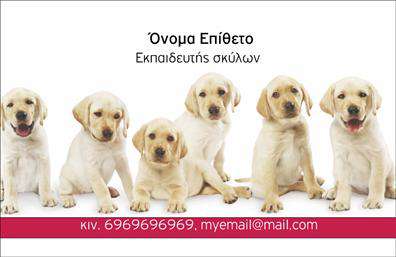 Επαγγελματική κάρτα για επαγγελματίες του χώρου των ζώων: Αυτή η εντυπωσιακή επαγγελματική κάρτα συνδυάζει απαλές και φωτεινές αποχρώσεις που προδιαθέτουν θετικά για τις υπηρεσίες σας. Το σχέδιο εμπλουτίζεται με εικόνες που αποτυπώνουν την αγάπη για τα ζώα, δημιουργώντας αμέσως συναισθηματική σύνδεση. Η διάταξή της είναι ισορροπημένη, με μια μοντέρνα γραμματοσειρά που προσδίδει ευχάριστη αναγνωσιμότητα και επαγγελματικό χαρακτήρα.Ο επαγγελματισμός της κάρτας αναδεικνύεται μέσω του προσεκτικά επιλεγμένου χρωματικού συνδυασμού και των καθαρών γραμμών, που φτιάχνουν μια κομψή εικόνα. Είναι ιδανική για να αντικατοπτρίζει την αξιοπιστία ενός ειδικού στον τομέα των ζώων, όπως κτηνιατρούς, εκπαιδευτές ή φιλοζωικές οργανώσεις.Η επαγγελματική κάρτα σας προσφέρει ευελιξία, καθώς μπορείτε να προσθέσετε τα στοιχεία επικοινωνίας σας, όπως όνομα, τηλέφωνο και λογότυπο, ώστε να την προσαρμόσετε σύμφωνα με τις ανάγκες σας. Με μια λιτή αλλά εντυπωσιακή παρουσίαση, η κάρτα μπορεί να προβάλλει τις ειδικές υπηρεσίες ή προϊόντα που προσφέρετε στον τομέα των ζώων.Με αυτή την κάρτα, θα ξεχωρίσετε από τον ανταγωνισμό και θα αφήσετε μια θετική εντύπωση στους πελάτες σας. Μπορείτε να κάνετε όποιες αλλαγές θέλετε μέσω του online σχεδιαστικού εργαλείου.