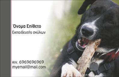 Επαγγελματική κάρτα για επαγγελματίες του τομέα των ζώων με άριστο σχεδιασμό που προσελκύει το βλέμμα και εντυπωσιάζει. Αναδεικνύει την παθιασμένη αφοσίωση και την επαγγελματική προσέγγιση στον τομέα των ζώων, με μια ζωντανή γραφιστική προσέγγιση που συνδυάζει φυσικά χρώματα και στοιχεία που συνδέονται με την άγρια φύση.Ο συνολικός σχεδιασμός περιλαμβάνει φρέσκα χρώματα που αντανακλούν την ενέργεια και τον δυναμισμό της φύσης, ενώ η διάταξη των στοιχείων είναι προσεκτικά οργανωμένη για να προσδώσει καθαρότητα και άνεση στο χρήστη. Η γραμματοσειρά είναι ευανάγνωστη, προσθέτοντας έναν επαγγελματικό τόνο, ενώ το background διαθέτει διακριτικά στοιχεία που παραπέμπουν στο θέμα των ζώων, ενισχύοντας την ατμόσφαιρα της κάρτας.Η κάρτα αυτή αντανακλά επαγγελματισμό και αξιοπιστία, αναδεικνύοντας την εμπειρία και την γνώση του επαγγελματία στον τομέα του. Το σχέδιο προσφέρει την ευχέρεια προσθήκης στοιχείων, όπως το όνομα, το τηλέφωνο, το λογότυπο και άλλα στοιχεία επικοινωνίας, καθιστώντας την προσαρμοστική και λειτουργική.Επιπλέον, μπορεί να προβάλει τις υπηρεσίες ή τα προϊόντα, κάνοντάς την ιδανική για επαγγελματίες που ασχολούνται με ζώα, από κτηνίατρους έως εκπαιδευτές. Επαγγελματικές κάρτες όπως αυτή βοηθούν τον επαγγελματία να ξεχωρίσει και να αφήσει θετική εντύπωση στους πελάτες του, αποδεικνύοντας την ποιότητα και την προσοχή στη λεπτομέρεια.Μπορείτε να κάνετε όποιες αλλαγές θέλετε μέσω του online σχεδιαστικού εργαλείου.