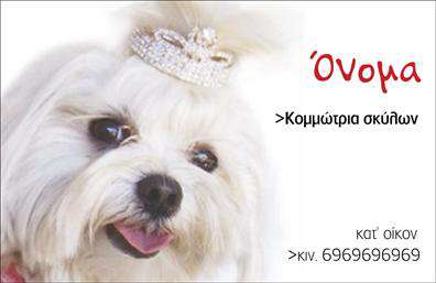 Επαγγελματική κάρτα για Ζωολογικές Υπηρεσίες - Αυτή η εντυπωσιακή επαγγελματική κάρτα αποπνέει ζωντάνια και επαγγελματισμό, ιδανική για κάθε επαγγελματία που εργάζεται στον τομέα των ζώων. Με έναν μοντέρνο σχεδιασμό, οι κάρτες αυτές συνδυάζουν χρώματα που αντλούν την προσοχή, όπως το πράσινο και το καφέ, που παραπέμπουν στη φύση. Η διάταξη είναι καθαρή και ευανάγνωστη, με μια κομψή γραμματοσειρά που ενισχύει την αίσθηση της εμπιστοσύνης.Η δημιουργική χρήση εικόνων ζώων προσθέτει μια ευχάριστη ατμόσφαιρα στην κάρτα, καταδεικνύοντας την αφοσίωση του επαγγελματία στον κόσμο των ζώων. Αυτό το σχέδιο δεν κινείται μόνο στην αισθητική, αλλά και στην ανταλλαγή πληροφοριών, προσφέροντας πλήρη στοιχεία επικοινωνίας για εύκολη ανεύρεση.Η ευελιξία του σχεδίου επιτρέπει την προσαρμογή με το όνομα, τηλέφωνο και λογότυπο της επιχείρησής σας, προσφέροντας μια προσωπική πινελιά που θα σας ξεχωρίσει. Οι επαγγελματικές κάρτες αυτές είναι ιδανικές για να προβάλουν τις υπηρεσίες ή τα προϊόντα σας, ενισχύοντας τη σχέση σας με τους πελάτες.Με αυτές τις κάρτες, θα μπορείτε να δημιουργήσετε μια εντυπωσιακή πρώτη εντύπωση, αφήνοντας μια θετική αίσθηση στους πελάτες σας. Οι εκτυπώσεις αυτών των επαγγελματικών καρτών θα σας βοηθήσουν να εδραιώσετε την παρουσία σας στον τομέα σας. Μπορείτε να κάνετε όποιες αλλαγές θέλετε μέσω του online σχεδιαστικού εργαλείου.