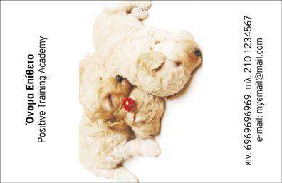 Επαγγελματική κάρτα για ΖωοφιλίαΑνακαλύψτε την ιδανική επαγγελματική κάρτα για επαγγελματίες του χώρου των ζώων και της ζωοφιλίας. Το σχέδιο της κάρτας συνδυάζει χαρούμενα και ζωηρά χρώματα με εντυπωσιακές εικόνες που αποπνέουν θετική ενέργεια. Η διάταξή της είναι προσεκτικά μελετημένη, προσφέροντας ένα σύγχρονο και κομψό αισθητικό αποτέλεσμα.Στηρίζεται σε ευανάγνωστες γραμματοσειρές που ενισχύουν την αίσθηση του επαγγελματισμού. Το πίσω μέρος μπορεί να περιλαμβάνει φόντο που σχετίζεται με τα ζώα, δημιουργώντας μια αναγνωρίσιμη και αξέχαστη ταυτότητα. Κάθε λεπτομέρεια σχεδιάστηκε ώστε να αντικατοπτρίζει τον σεβασμό και την αγάπη προς τα ζώα, γεγονός που προσδίδει αξιοπιστία στον επαγγελματία.Η επαγγελματική κάρτα προσφέρει τη δυνατότητα προσαρμογής, επιτρέποντάς σας να προσθέσετε το όνομά σας, το τηλέφωνο, το λογότυπό σας και άλλα στοιχεία επικοινωνίας, κάνοντάς την ιδανική για όποιον επιθυμεί να ενισχύσει την παρουσία του στο χώρο.Επιπλέον, η κάρτα μπορεί να προβάλει τις υπηρεσίες ή τα προϊόντα της επιχείρησής σας, όπως νοσηλεία, grooming ή πώληση αξεσουάρ για κατοικίδια.Αυτή η κάρτα είναι η ιδανική επιλογή για να ξεχωρίσετε και να αφήσετε μια θετική εντύπωση στους πελάτες σας. Μπορείτε να κάνετε όποιες αλλαγές θέλετε μέσω του online σχεδιαστικού εργαλείου.