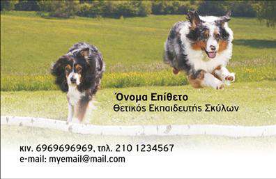 Επαγγελματική κάρτα για επαγγελματία του χώρου των ζώωνΑυτή η επαγγελματική κάρτα σχεδιάστηκε με επίκεντρο την επαγγελματική σας ταυτότητα και την αγάπη σας για τα ζώα. Με ζωντανά χρώματα και δυναμική διάταξη, η κάρτα ξεχωρίζει αμέσως, ενώ οι λεπτομέρειες της εικόνας αποπνέουν φροντίδα και αφοσίωση.Η αισθητική της κάρτας είναι προσεκτικά σχεδιασμένη, με γραμματοσειρές που συνδυάζουν κομψότητα και αναγνωσιμότητα, προσφέροντας μια ισχυρή παρουσία στο κοινό σας. Το background εμπλουτίζει την εικόνα των ζώων, κάνοντάς την να φαίνεται ελκυστική και επαγγελματική.Το σχέδιο αντανακλά τον επαγγελματισμό σας, επισημαίνοντας ότι είστε αξιόπιστος και αφοσιωμένος επαγγελματίας στον τομέα σας. Η επιλογή χρωμάτων και στησίματος έχει σχεδιαστεί με προσοχή ώστε να μεταφέρει την εξειδίκευσή σας, δημιουργώντας μια θετική εντύπωση στους συνεργάτες και πελάτες σας.Εκτός από την ελκυστική εμφάνιση, μπορείτε εύκολα να προσθέσετε στοιχεία όπως το όνομά σας, τον αριθμό τηλεφώνου και το λογότυπό σας. Αυτή η προσαρμοστικότητα επιτρέπει την εξατομίκευση των επαγγελματικών καρτών ανάλογα με τις ανάγκες σας.Επιπλέον, η κάρτα σας δίνει τη δυνατότητα να προβάλετε τις υπηρεσίες ή τα προϊόντα σας, κάνοντάς την ιδανική για τον τομέα των ζώων.Η κάρτα αυτή θα σας βοηθήσει να ξεχωρίσετε στη θυμητική των πελατών σας, καθώς την επόμενη φορά που θα την δουν, θα θυμούνται εσάς και την επιχείρησή σας.Μπορείτε να κάνετε όποιες αλλαγές θέλετε μέσω του online σχεδιαστικού εργαλείου.