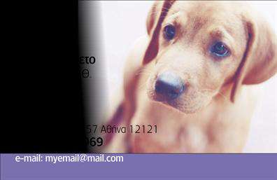 Επαγγελματική κάρτα για Κτηνίατροι που αναδεικνύει την εξειδίκευση και τον επαγγελματισμό σας. Το σχέδιο της κάρτας συνδυάζει κομψά και φυσικά χρώματα, δημιουργώντας μία ευχάριστη και φιλόξενη ατμόσφαιρα. Η διάταξη είναι πραγματικά αρμονική, με ευανάγνωστη γραμματοσειρά που προσφέρει ευκολία στην ανάγνωση των στοιχείων σας. Το φόντο, απλό αλλά εντυπωσιακό, ενισχύει την εικόνα του επαγγελματία κτηνιάτρου.Η αίσθηση του επαγγελματισμού είναι διάχυτη σε κάθε λεπτομέρεια της κάρτας, προσδίδοντας αξιοπιστία στην επιχείρησή σας. Η ικανότητα να προσαρμόσετε τα στοιχεία που περιλαμβάνονται, όπως το όνομα, το τηλέφωνο και το λογότυπο, προσφέρει την απαραίτητη ευελιξία για να παρουσιάσετε με τον καλύτερο τρόπο την επαγγελματική σας ταυτότητα.Επιπλέον, αυτή η επαγγελματική κάρτα σας δίνει τη δυνατότητα να προβληθούν οι υπηρεσίες που προσφέρετε, όπως συμβουλές για τη φροντίδα των ζώων και κτηνιατρικές θέσεις εργασίας, ενισχύοντας τη σχέση σας με τους πελάτες.Με την επαγγελματική κάρτα σας, θα ξεχωρίσετε και θα δημιουργήσετε μια θετική εντύπωση που θα σας ακολουθεί. Μπορείτε να κάνετε όποιες αλλαγές θέλετε μέσω του online σχεδιαστικού εργαλείου.