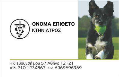 Επαγγελματική κάρτα για ΚτηνίατροιΑνακαλύψτε την ιδανική επαγγελματική κάρτα για κτηνίατρους, σχεδιασμένη με αίσθηση κομψότητας και επαγγελματισμού. Ο συνολικός σχεδιασμός της κάρτας διαθέτει ήρεμες και φυσικές αποχρώσεις του πράσινου που αποπνέουν μια αίσθηση ηρεμίας και εμπιστοσύνης, ενώ η διακριτική διάταξη επιτρέπει στον χρήστη να επικεντρωθεί στα βασικά στοιχεία. Η σύγχρονη γραμματοσειρά ενισχύει την αναγνωσιμότητα, κάνοντάς την ιδανική για να μεταφέρει άμεσα τα στοιχεία επικοινωνίας.Η κάρτα αυτή αντανακλά τον επαγγελματικό χαρακτήρα και την αξιοπιστία του κλάδου, προσδίδοντας μία δυναμική και αξιόπιστη εικόνα στον κτηνίατρο. Κάθε λεπτομέρεια έχει σχεδιαστεί προσεκτικά για να ενσωματώνει τις αρχές του επαγγελματισμού που απαιτεί η ιατρική περίθαλψη των ζώων.Η επαγγελματική κάρτα μπορεί εύκολα να προσαρμοστεί με στοιχεία όπως το όνομα του κτηνίατρου, το τηλέφωνο και το λογότυπο, κάνοντάς την λειτουργική και πρακτική. Επιπλέον, η κάρτα προσφέρει την δυνατότητα προβολής υπηρεσιών, όπως η κτηνιατρική φροντίδα και οι θεραπείες, ενισχύοντας την παρουσία της επιχείρησης στη αγορά.Με αυτές τις εκτυπώσεις, ο κτηνίατρος μπορεί να ξεχωρίσει και να αφήσει μια θετική εντύπωση στους πελάτες του, επισημαίνοντας την εξειδίκευσή του και την αφοσίωσή του στα ζώα.Μπορείτε να κάνετε όποιες αλλαγές θέλετε μέσω του online σχεδιαστικού εργαλείου.