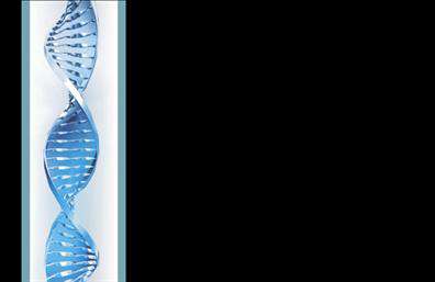 Επαγγελματική κάρτα για Μικροβιολόγους εντυπωσιάζει με τον σύγχρονο και επαγγελματικό της σχεδιασμό, ιδανική για να προβάλλει τις υπηρεσίες σας με τον καλύτερο τρόπο. Το αρμονικό συνδυασμό των χρωμάτων, όπως η απαλή γαλάζια απόχρωση, η οποία προσδίδει μια αίσθηση ηρεμίας και εμπιστοσύνης, μαζί με καθαρές γραμμές και μια εξαιρετική διάταξη, δημιουργεί μια εντυπωσιακή πρώτη εντύπωση.Η επαγγελματική κάρτα αυτή αντικατοπτρίζει την αξιοπιστία και τον επαγγελματισμό των Μικροβιολόγων. Η καθαρή και ευανάγνωστη γραμματοσειρά, σε συνδυασμό με την υποδειγματική τοποθέτηση των στοιχείων επικοινωνίας, λειτουργεί αποτελεσματικά ώστε να καθιστά την κάρτα ευχάριστη και χρηστική. Το φόντο, με λεπτομέρειες που θυμίζουν τον τομέα της μικροβιολογίας, προσδίδει μια μοναδική αίσθηση στους πελάτες σας.Η δυνατότητα προσαρμογής της κάρτας είναι το μεγάλο της πλεονέκτημα, καθώς μπορείτε να προσθέσετε εύκολα το όνομά σας, το τηλέφωνο, το λογότυπό σας και άλλα στοιχεία που θέλετε να προβληθούν. Αυτό καθιστά την επαγγελματική κάρτα εξαιρετικά λειτουργική και ευέλικτη.Η κάρτα αυτή μπορεί επίσης να προβάλλει τις υπηρεσίες ή τα προϊόντα της επιχείρησής σας με καθαρό και καλαίσθητο τρόπο, προσελκύοντας την προσοχή των πελατών σας. Με τον επαγγελματικό της χαρακτήρα και τη μοναδική της αισθητική, η κάρτα θα σας βοηθήσει να ξεχωρίσετε και να αφήσετε μια θετική εντύπωση.Μπορείτε να κάνετε όποιες αλλαγές θέλετε μέσω του online σχεδιαστικού εργαλείου.