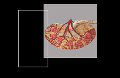 Επαγγελματική κάρτα για Νεφρολόγους! Αυτή η κάρτα συνδυάζει κομψότητα και επαγγελματισμό, σχεδιασμένη ειδικά για να αντικατοπτρίζει τη σοβαρότητα και την εμπιστοσύνη που απαιτεί το επάγγελμα του νεφρολόγου.  Το φόντο σε απαλές, γαλάζιες αποχρώσεις, προάγει την αίσθηση της ηρεμίας και της φρεσκάδας, ενώ οι καθαρές γραμμές και οι ισορροπημένες αναλογίες δημιουργούν μια ευχάριστη και ευανάγνωστη διάταξη. Η γραμματοσειρά είναι μοντέρνα και ευδιάκριτη, καθιστώντας εύκολη την ανάγνωση των στοιχείων επικοινωνίας σας.  Η κάρτα αποπνέει επαγγελματισμό, αναδεικνύοντας την αξιοπιστία του νεφρολόγου και παρέχοντας μία αίσθηση εμπιστοσύνης στους ασθενείς σας.  Οι δυνατότητες προσαρμογής της είναι απεριόριστες, καθώς μπορείτε να προσθέσετε το όνομά σας, τον αριθμό τηλεφώνου σας, το λογότυπό σας και άλλες πληροφορίες επικοινωνίας. Επιπλέον, η κάρτα μπορεί να περιλαμβάνει και πληροφορίες σχετικά με τις υπηρεσίες που παρέχετε, καθιστώντας την ένα αποτελεσματικό εργαλείο προβολής. Επιλέγοντας αυτή την επαγγελματική κάρτα, θα ξεχωρίσετε στους ασθενείς σας και θα δημιουργήσετε μια θετική εντύπωση, ενισχύοντας την εικόνα σας ως αξιόπιστου επαγγελματία στον τομέα της νεφρολογίας. Μπορείτε να κάνετε όποιες αλλαγές θέλετε μέσω του online σχεδιαστικού εργαλείου.
