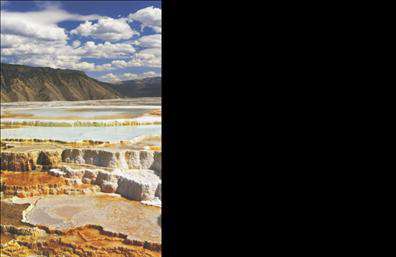 Επαγγελματική κάρτα για χημικούςΑνακαλύψτε μια μοναδική και κομψή επαγγελματική κάρτα που προορίζεται αποκλειστικά για επαγγελματίες του τομέα της χημείας. Ο σχεδιασμός είναι φτιαγμένος με προσοχή στη λεπτομέρεια, με κύρια χρώματα που αποπνέουν επαγγελματισμό και αξιοπιστία. Το φόντο προσδίδει μία μοντέρνα αίσθηση, ενώ οι γραμματοσειρές επιλέγονται για την ευανάγνωστη και κομψή τους εμφάνιση. Η διάταξη των στοιχείων είναι επιδέξια διαμορφωμένη, εξασφαλίζοντας ότι το όνομα και οι πληροφορίες επικοινωνίας σας ξεχωρίζουν με ευκολία.Η κάρτα αυτή αντανακλά τον επαγγελματικό χαρακτήρα του χημικού με τον καλύτερο δυνατό τρόπο. Μέσα από την αισθητική της, στέλνει το μήνυμα της σοβαρότητας και της αξιοπιστίας. Είναι ιδανική για εκείνους που θέλουν να δημιουργήσουν μια θετική εντύπωση στους πελάτες και συνεργάτες τους.Η προσαρμοστικότητα της κάρτας σας επιτρέπει να προσθέσετε τα στοιχεία που επιθυμείτε, όπως το όνομά σας, τηλέφωνο, διεύθυνση και λογότυπο, κάνοντας το κάθε σχέδιο μοναδικό και κατάλληλο για την προσωπική σας επιχείρηση.Επιπλέον, η κάρτα μπορεί να αναδείξει τις υπηρεσίες ή τα προϊόντα σας, παρέχοντας μία εξαιρετική ευκαιρία για προώθηση και επικοινωνία με τον πελάτη. Κάθε επαγγελματική κάρτα σας δίνει τη δυνατότητα να ξεχωρίσετε στον κλάδο σας και να αφήσετε μια διαρκή θετική εντύπωση.Μπορείτε να κάνετε όποιες αλλαγές θέλετε μέσω του online σχεδιαστικού εργαλείου.