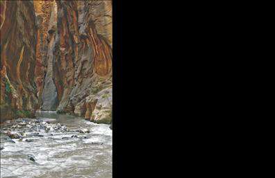 Επαγγελματική κάρτα για Χημικούς: Ανακαλύψτε μια εντυπωσιακή και κομψή επαγγελματική κάρτα σχεδιασμένη ειδικά για τους Χημικούς, που ενσωματώνει επαγγελματισμό και αισθητική. Η κάρτα διαθέτει μία μοντέρνα διάταξη με αρμονικούς χρωματικούς συνδυασμούς, κυρίως σε αποχρώσεις του μπλε και του λευκού, δημιουργώντας μια καθαρή και επαγγελματική αίσθηση. Η γραμματοσειρά είναι ευανάγνωστη και προσθέτει μία νότα σοβαρότητας που αντικατοπτρίζει τον τομέα της χημείας.Η αισθητική αυτή αντανακλά τον επαγγελματικό χαρακτήρα του εμπλεκόμενου και εξασφαλίζει αξιοπιστία στον πελάτη. Η τοποθέτηση των στοιχείων είναι προσεκτική, με μία θέση για το λογότυπο, το όνομα και τα τηλέφωνα επικοινωνίας, παρέχοντας εύκολη ανάγνωση και πρόσβαση στις πληροφορίες.Η κάρτα προσφέρει τη δυνατότητα προσαρμογής, επιτρέποντας την προσθήκη απαραίτητων στοιχείων όπως το όνομα και η ειδικότητα του χημικού, επιβεβαιώνοντας την προσωπική επαφή με τον πελάτη. Επιπλέον, μπορεί να προβάλλει τις υπηρεσίες ή τα προϊόντα που προσφέρει, ενισχύοντας την ταυτότητα της επιχείρησης.Με αυτήν την επαγγελματική κάρτα, οι Χημικοί έχουν τη δυνατότητα να ξεχωρίσουν και να αφήσουν μια θετική εντύπωση σε κάθε συνεργασία. Εκτυπώσεις υψηλής ποιότητας εξασφαλίζουν την κορυφαία εμφάνιση της κάρτας.Μπορείτε να κάνετε όποιες αλλαγές θέλετε μέσω του online σχεδιαστικού εργαλείου.